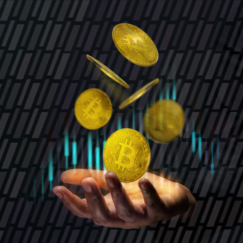 7-common-cryptocurrency-header