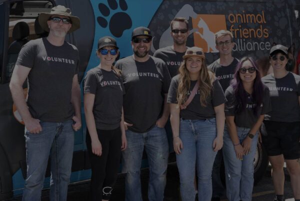 OtterCares Foundation