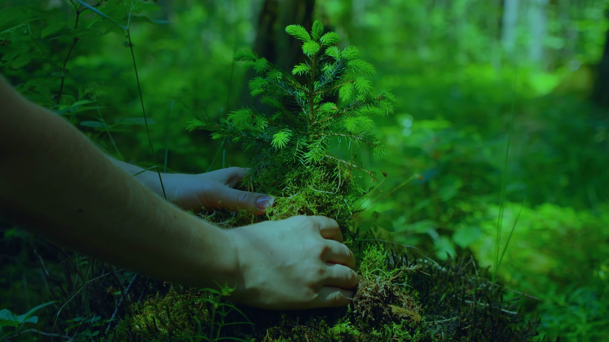 From Foundations to DAFs: Key Takeaways From Giving USA’s 2025 Report on Philanthropy