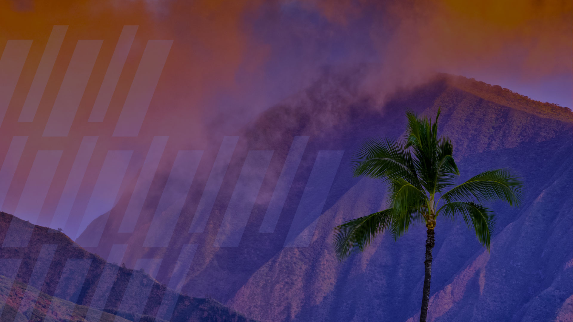 Responding to the Hawaii Wildfires