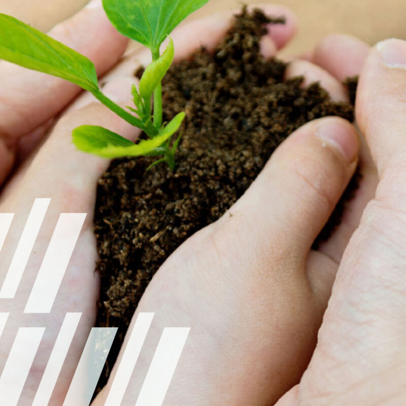 philanthropic-stages